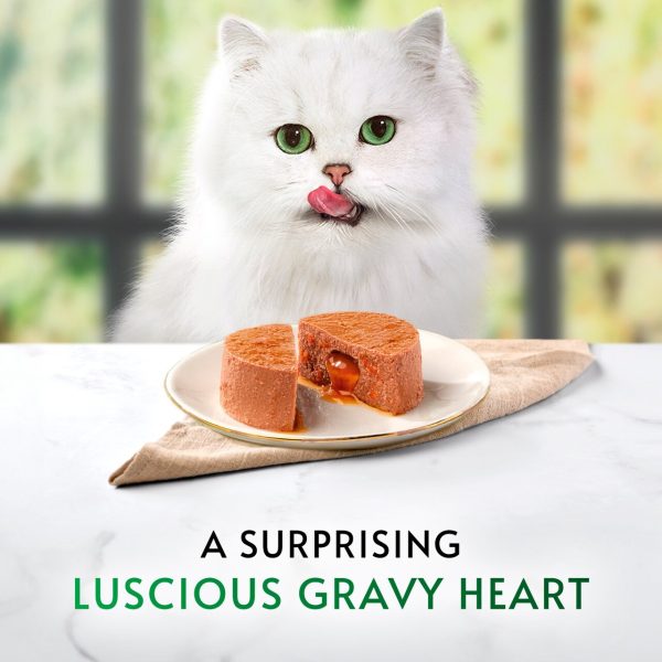 Gourmet Nature's Creations Gravy Heart Chicken Ocean Fish Wet Cat Food