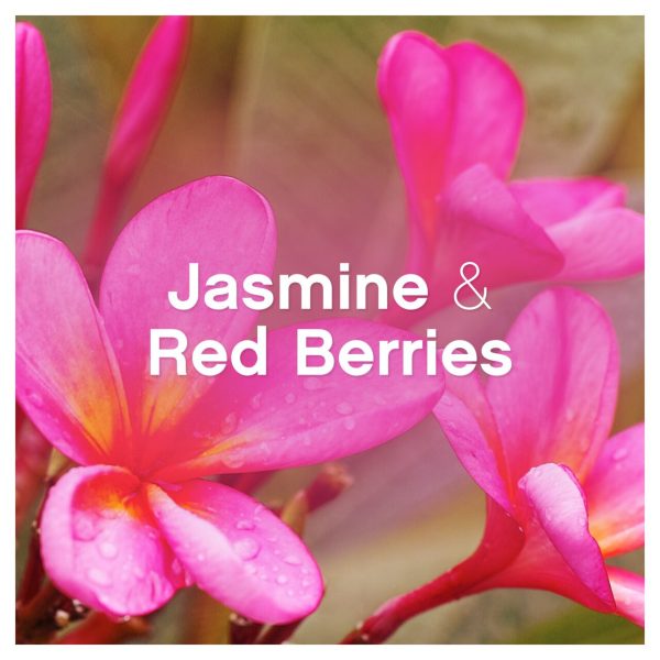 Lenor Jasmine & Red Berries Fabric Conditioner 78 Washes