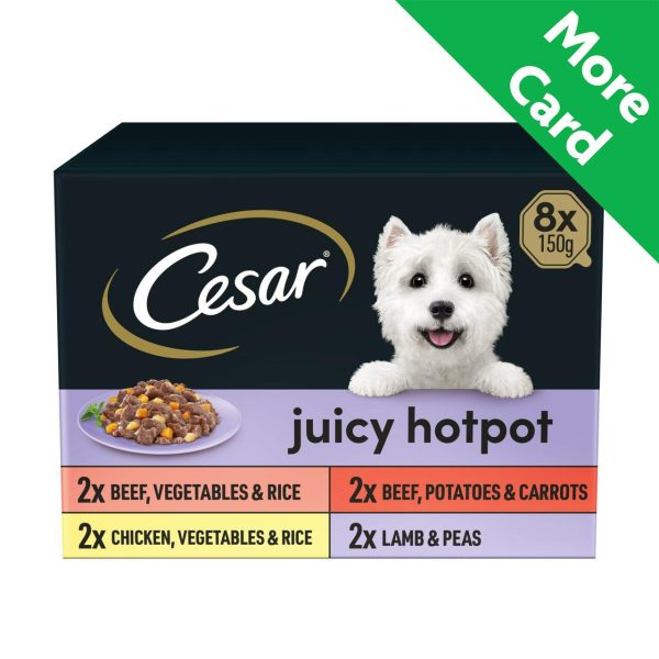 Cesar Juicy Hotpot Adult Wet Dog Food Trays Mixed in Gravy