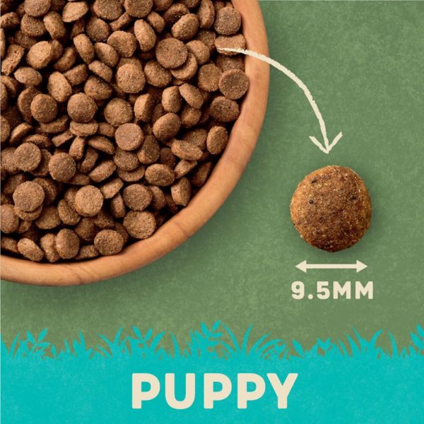 Harringtons Dry Puppy Food Rich in Turkey & Rice