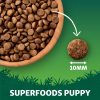 Harrington's Grain Free Superfoods Chicken Puppy
