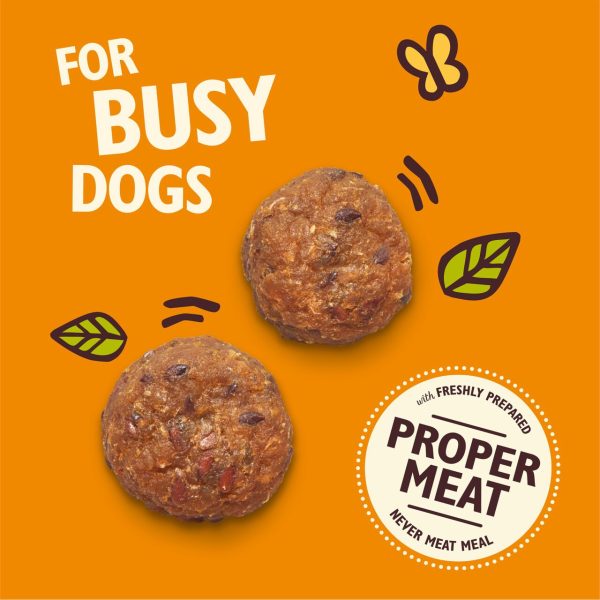 Lily's Kitchen Chicken Protein Bites For Dogs