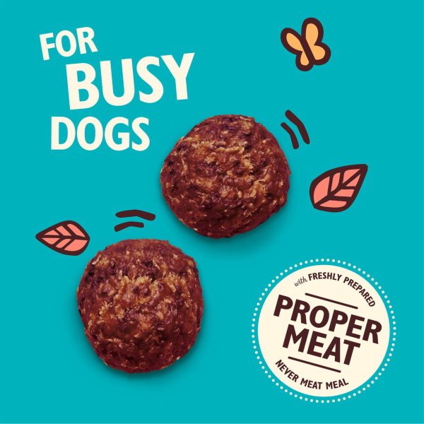 Lily's Kitchen Turkey & Whitefish Protein Bites For Dogs