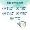 Pampers Pure Protection Nappies Full Cut Taped Size 4 Maxi