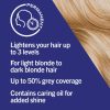 Schwarzkopf Live Intense Colour Cool Blonde B10