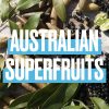 Aussie Save My Lengths! 3 Minute Miracle Hair Mask