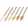 6 Piece titanium flat wood bit set