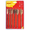 6 Piece titanium flat wood bit set