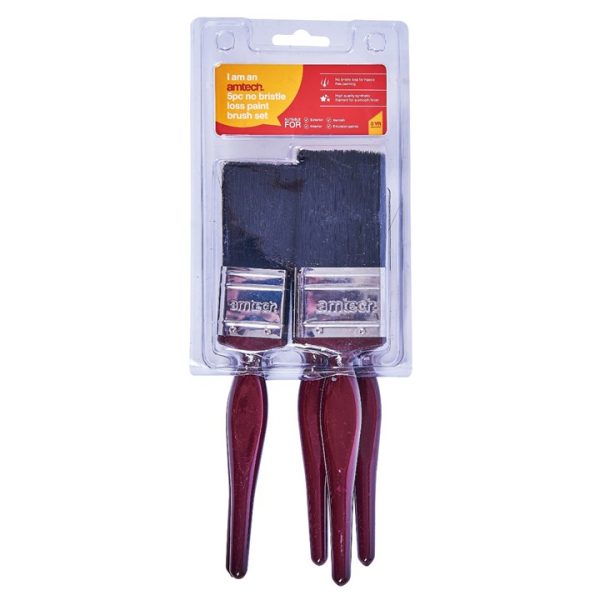 5 Piece no bristle loss paint brush set