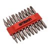 10 Piece double ended power bit set