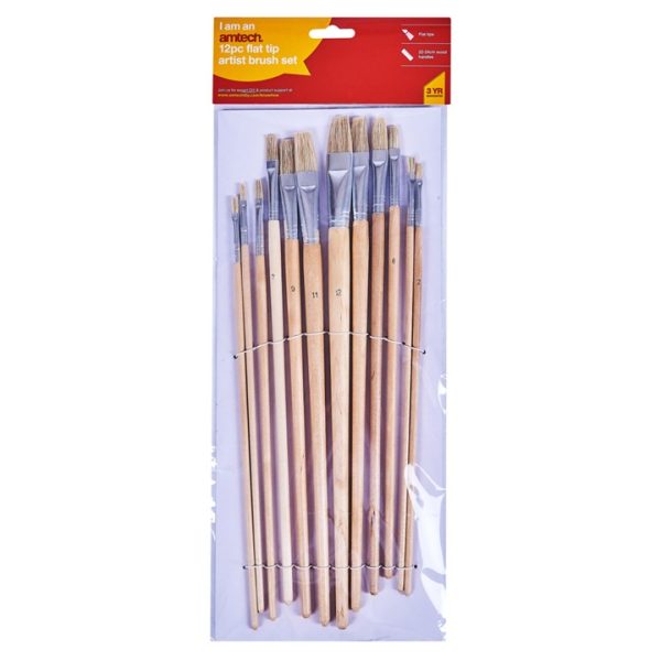 12 Piece flat tip art brush set