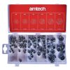 100 Piece assorted locking nut set