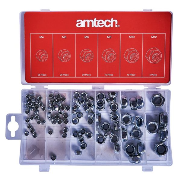 100 Piece assorted locking nut set