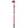 Telescopic patio cleaning brush