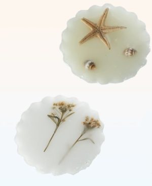 SCENTED MELT JASMINE / BLUE WATER