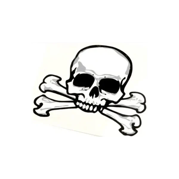 SKULL ~ CROSSBONES PIRATE TATTOOS PACK OF 24