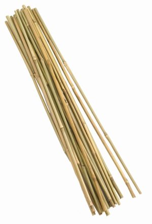 WESTLAND BAMBOO CANE BUNDLE 150CM PACK OF 20