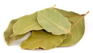 30G BAY LEAVES