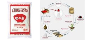 AJINOMOTO MONOSODIUM GLUTAMATE 454G UK SELL C9017