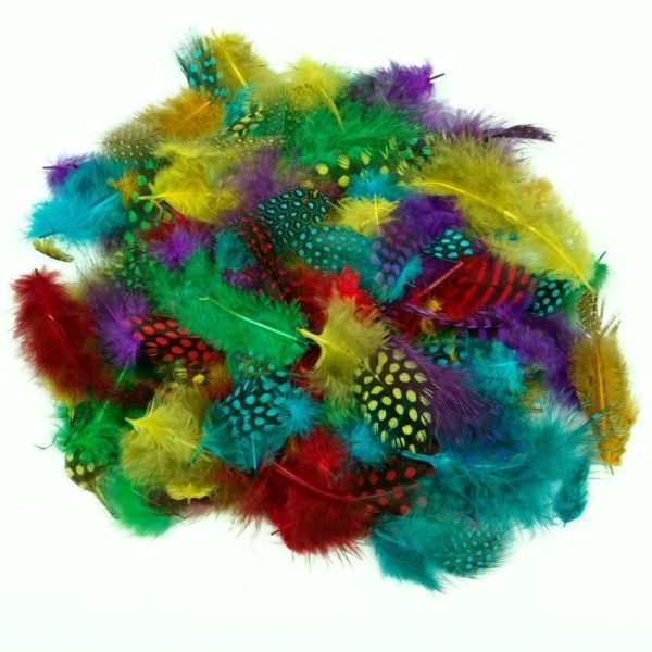 COLOURED SPOTTY SPOTTED FUNKY FEATHERS ART CRAFT EASTER COLLAGE HATS COSTUME MILLINERY SCRAPBOOK CAR