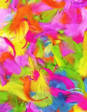 BRIGHT MULTICOLOUR FEATHERS
