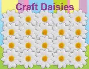 PACK OF 25 CRAFT DAISIES DAISY WHITE OLNY