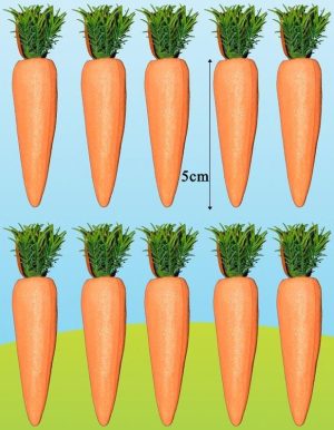 10 MINI GLITTER CARROTS