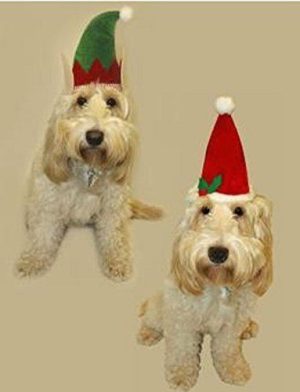 PET CHRISTMAS HATS - ASSORTED