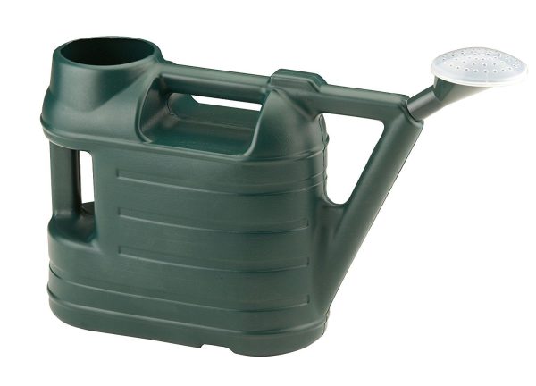 6.5L BUDGET SPACE WATERING CAN WITH ROSE - GREEN