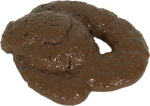 KITTY CRAP DOO PET POOP FAKE RUBBER CAT POO DOG TRICK JOKE PRANK GAG TY7769