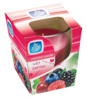 PAN AROMA CLEAR GLASS CANDLE - WILD BERRIES