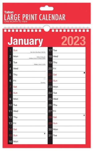 YEAR 2025 2 COLOUMN MONTH TO VIEW CALENDAR