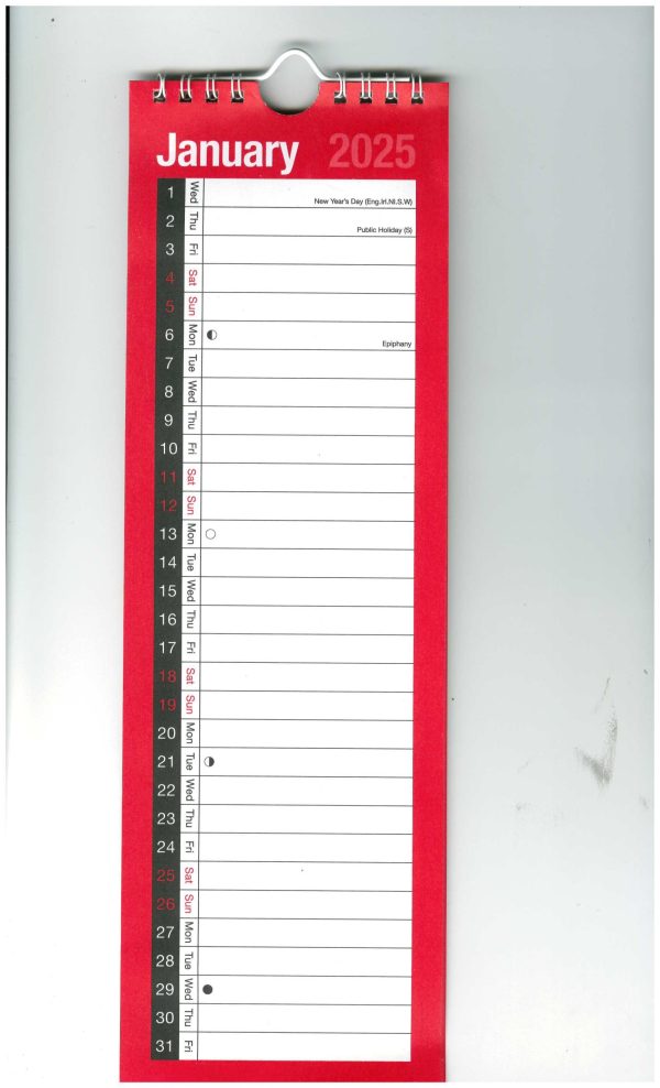 YEAR 2025 SLIM MTV PLANNER SINGLE COLOUMN