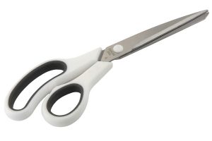 APOLLO ZEUS SCISSORS SHEARS 10 INCH