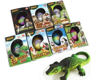 GROWING PET CROCODILE EGG