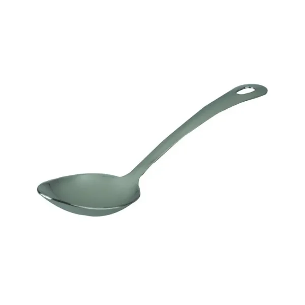 APOLLOL STAINLESS STEEL SERVING SPOON 9 INCH