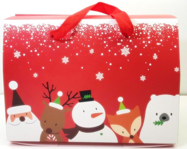 CHRISTMAS CUTE SANTA SNOWMAN MERRY CHRISTMAS WHISHES WREATH GIFT BAG BOX PACK OF 10