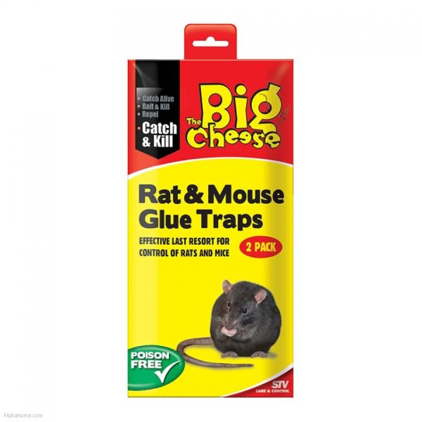 THE BIG CHEESE RAT & MOUSE GLUE TRAPS PACK OF 2