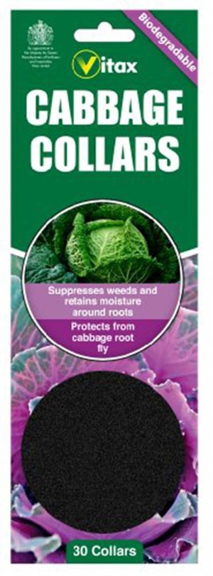 VITAX BIODEGRADEABLE CABBAGE COLLARS PACK OF 30