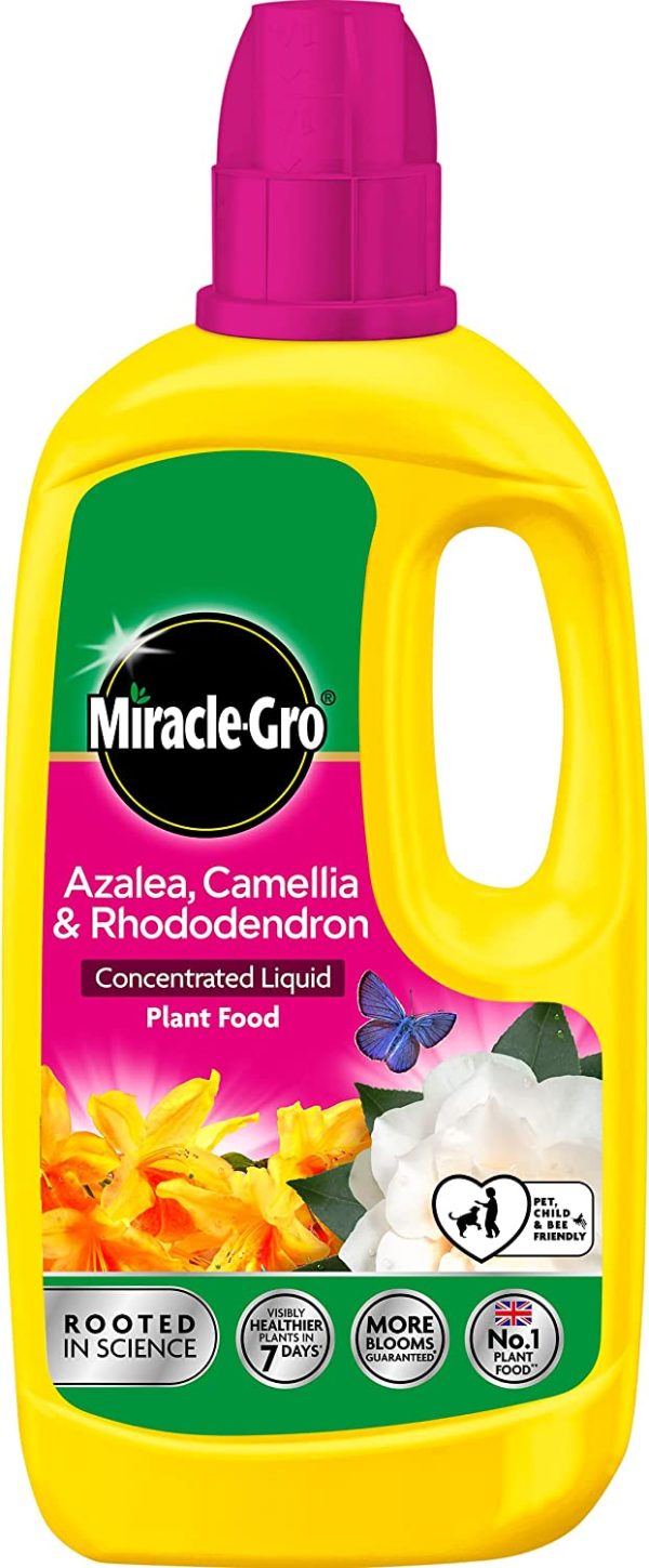 MIRACLE-GRO AZALEA CAMELLIA & RHODODENDRON CONCENTRATED LIQUID PLANT FOOD 800ML