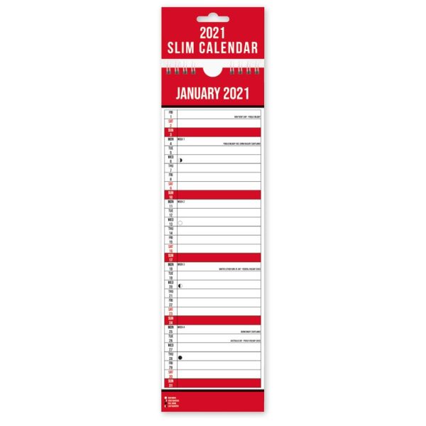 2021 SLIM MONTH TO VIEW SPIRAL BOUND WALL PLANNER CALENDAR