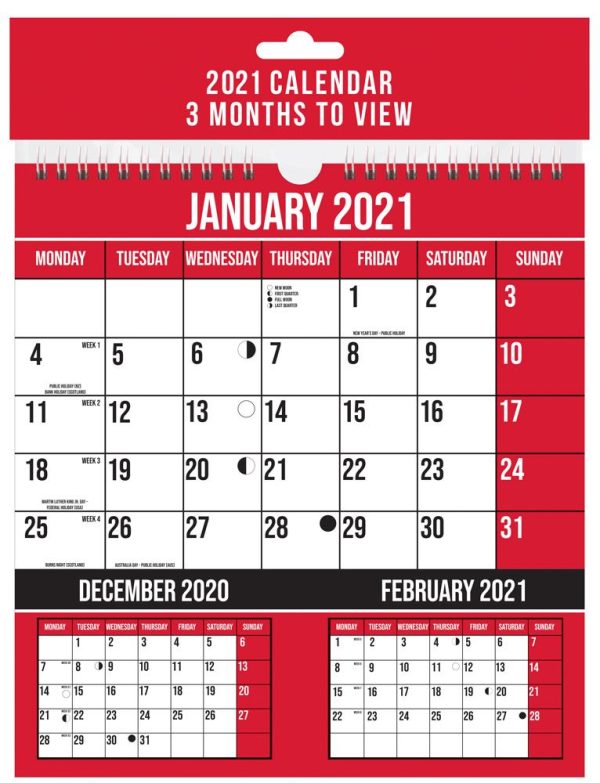 2021 THREE MONTH TO VIEW SPIRAL BOUND WALL PLANNER CALENDAR