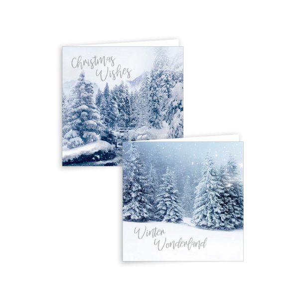 12 CHRISTMAS GREETINGS CARDS - WINTER SCENE