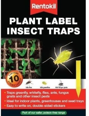 RENTOKIL PLANT POT FLY STICKER LABELS PACK OF 10