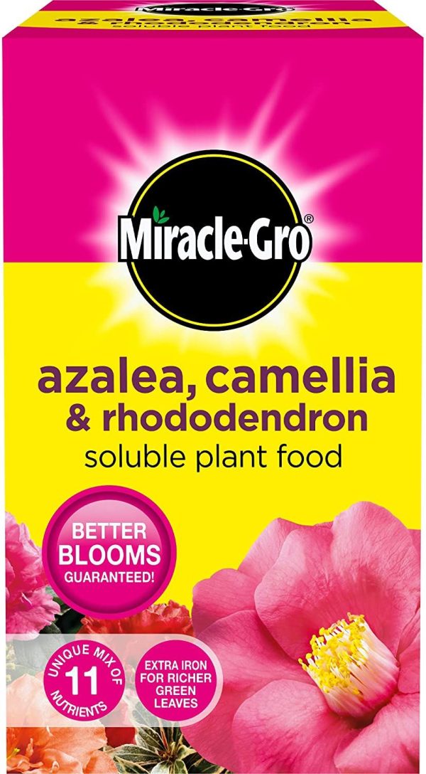 MIRACLE GRO AZALEA CAMELLIA & RHODODENDRON SOLUBLE PLANT FOOD 1KG