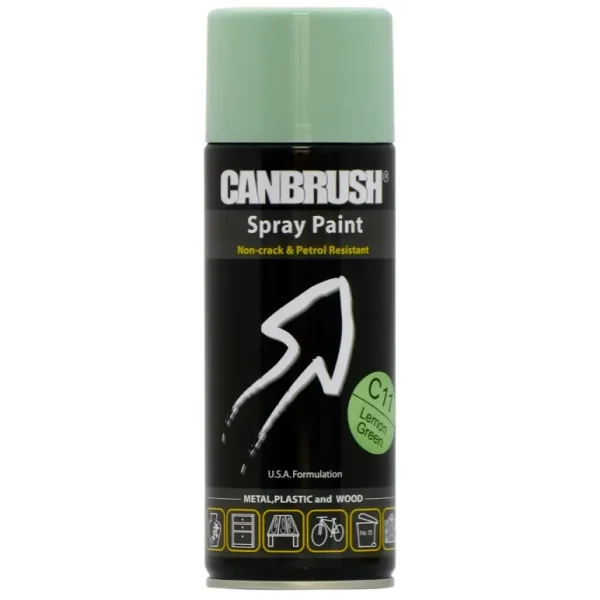 MULTI PURPOSE CANBRUSH C11 SURF GREEN SPRAY PAINT 400ML