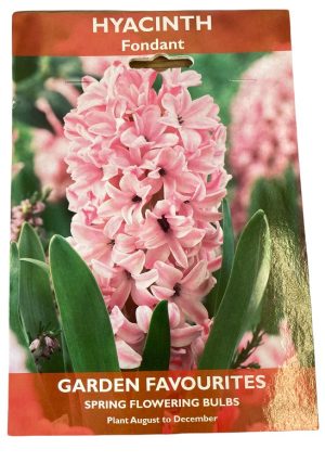 DE REE HYACINTH FONDANT 2 BULBS