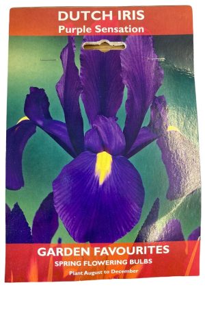 DE REE DUTCH IRIS PURPLE SENSATION 10 BULBS