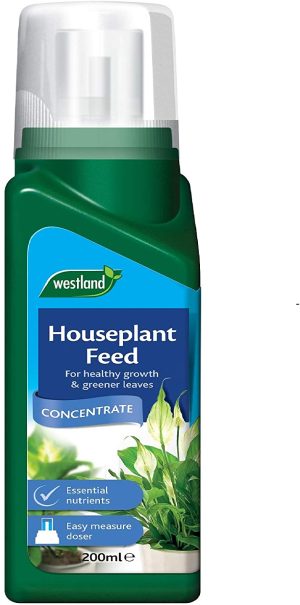 WESTLAND HOUSEPLANT CONCENTRATE FEED 200ML