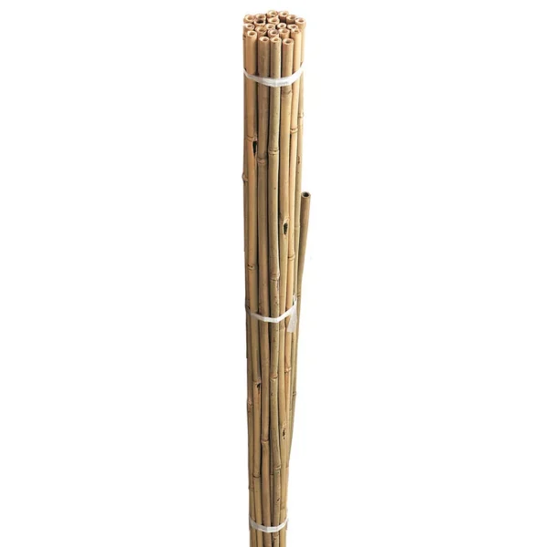 WESTLAND BAMBOO CANE BUNDLE 90CM PACK OF 20